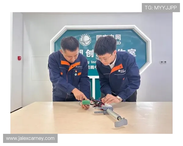 lt乐投瑞丰线路检测设备提升电力线路检测效率的创新实践