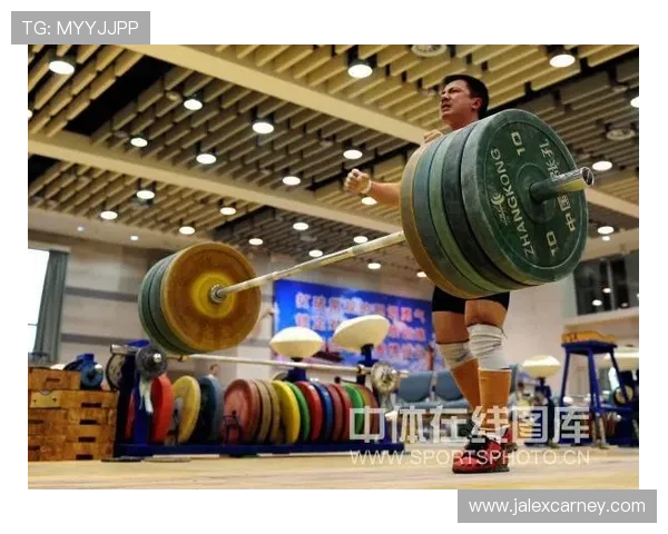 toc体育网官网用户指南详解帮助新手快速上手体育平台操作