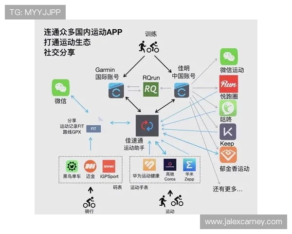 乐打智能体育app：全面提升运动体验的智能运动应用