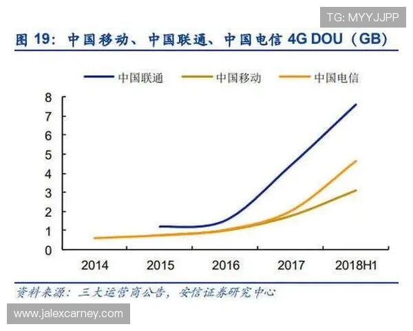 乐投控股有限公司：未来五年发展规划与行业趋势预测分析